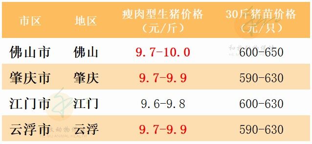 6月24日：强势上涨！广东猪价破10！【瑞普生物·猪价指数】