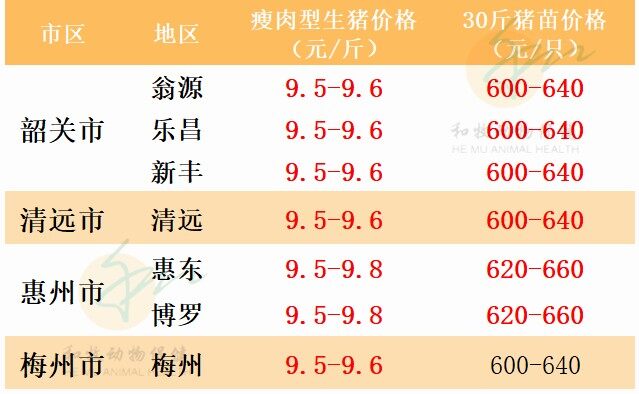 6月24日：强势上涨！广东猪价破10！【瑞普生物·猪价指数】