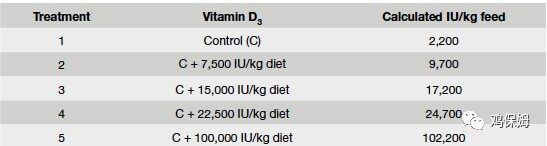最新研究结果——蛋鸡维生素 D安全添加量