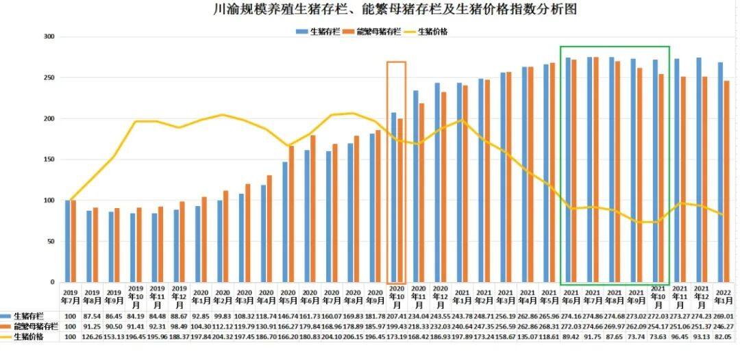 当前川渝生猪市场形势分析及后期展望