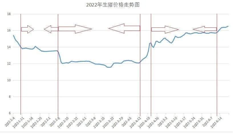 当前川渝生猪市场形势分析及后期展望