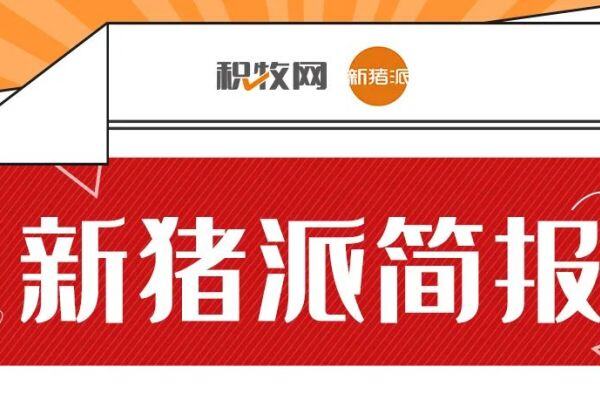 6.27新猪派简报|扬翔上会在即，温氏明年生猪出栏或达2600万头！