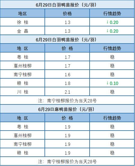 6月28日 福建水禽價(jià)格上漲！廣東、浙江水禽價(jià)格穩(wěn)定，桂柳白羽肉鴨價(jià)格下滑【水禽價(jià)格指數(shù)】