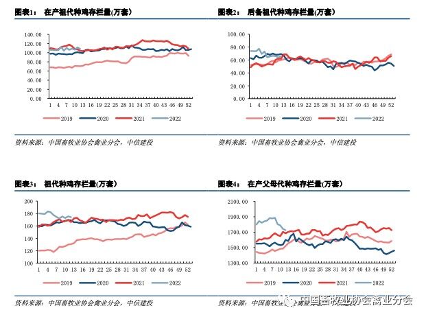 2022上半年肉鸡产业链发展情况系列报告