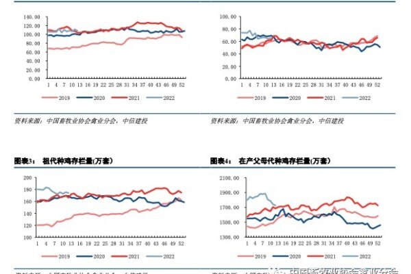 2022上半年肉鸡产业链发展情况系列报告