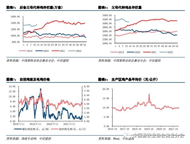 2022上半年肉鸡产业链发展情况系列报告