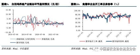 2022上半年肉鸡产业链发展情况系列报告