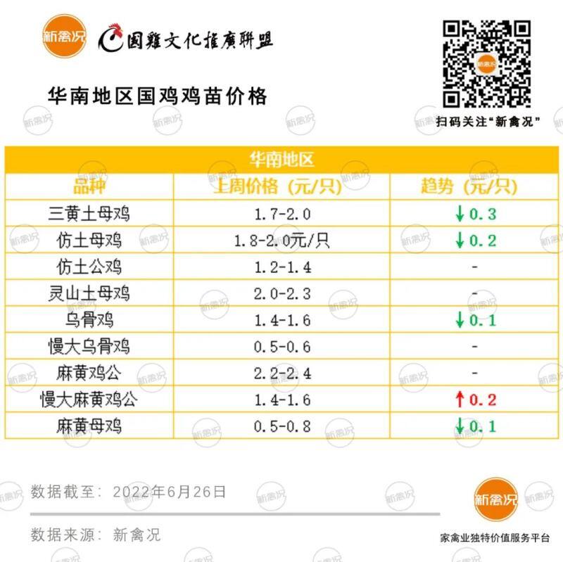 鸡价成本线上“走钢丝”，多轮饲料涨潮后，年鸡还要不要养？【苗价分析】