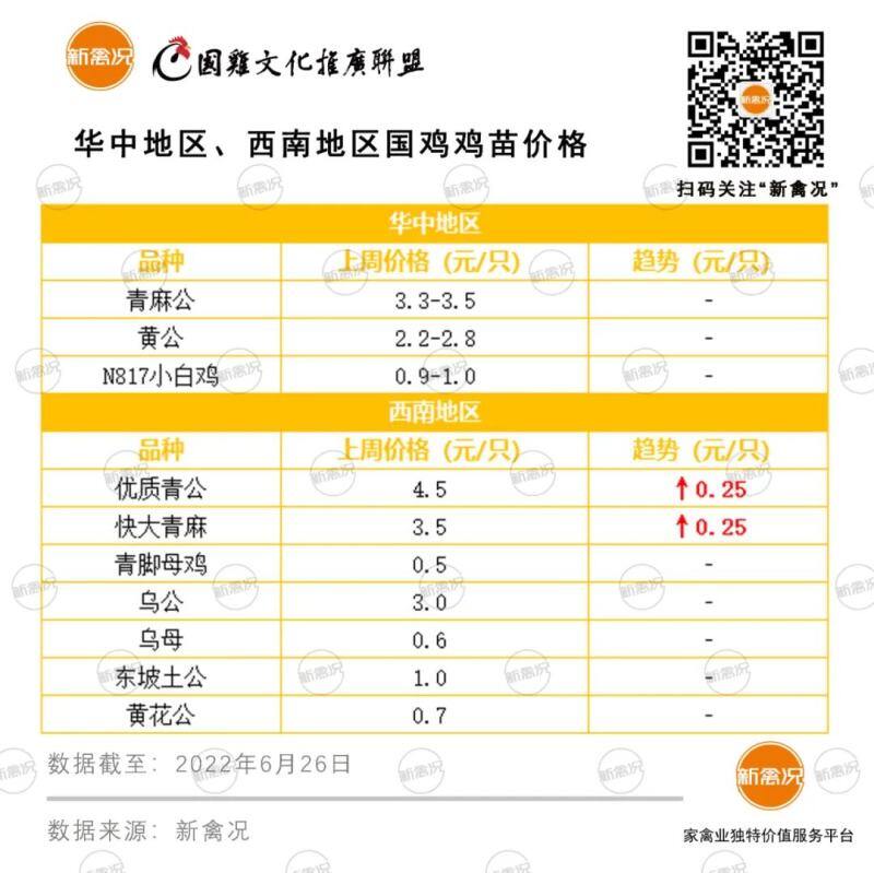 鸡价成本线上“走钢丝”，多轮饲料涨潮后，年鸡还要不要养？【苗价分析】