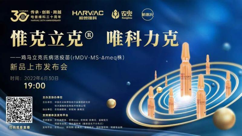 鸡价成本线上“走钢丝”，多轮饲料涨潮后，年鸡还要不要养？【苗价分析】