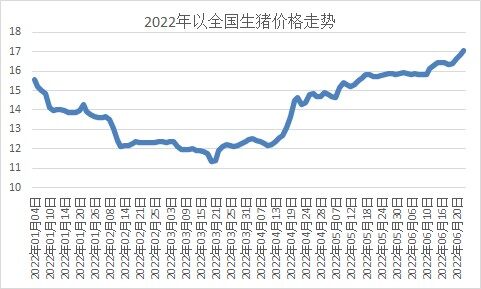 5月末能繁母猪回涨至4192万头！猪价上涨或为季节性反弹