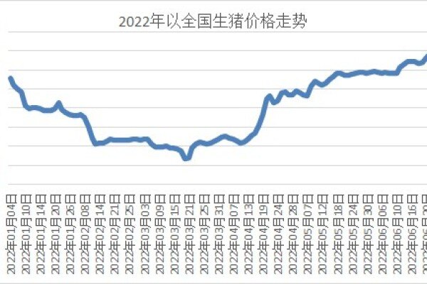 5月末能繁母猪回涨至4192万头！猪价上涨或为季节性反弹