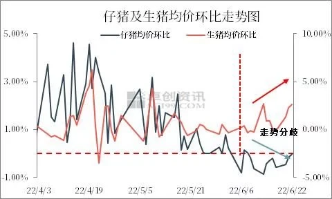 7kg仔猪交易均价跌破500元/头，预计四季度猪价涨幅有限​