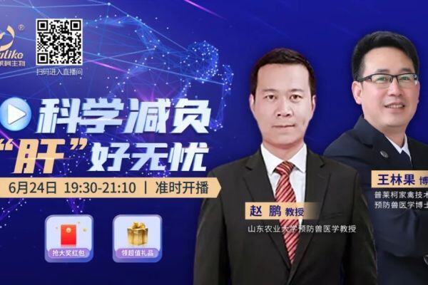 鸡肝肿大的罪魁祸首竟是它！不做好这一点，未来国鸡也将“步后尘”