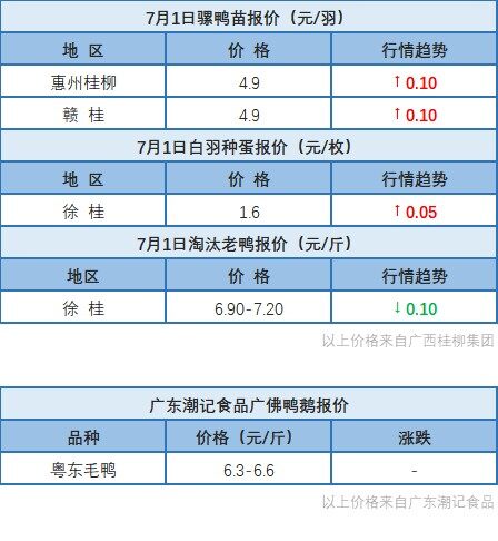 6月30日 廣東、浙江、福建水禽價格穩定，桂柳麻鴨價格上漲【水禽價格指數】