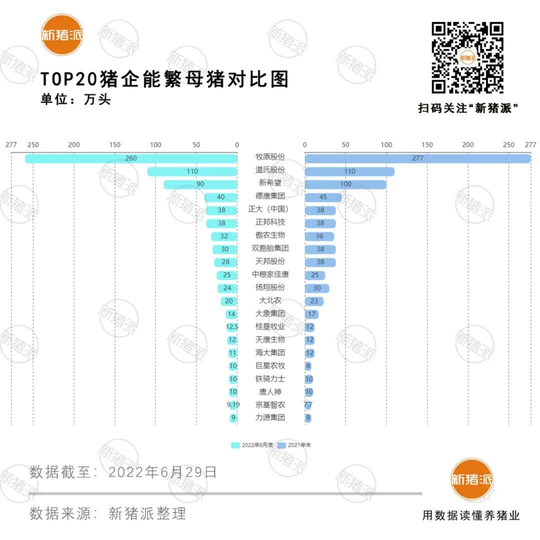 新格局！TOP20豬企手握832萬頭母豬占1/5,京基智農(nóng)、力源近10萬…