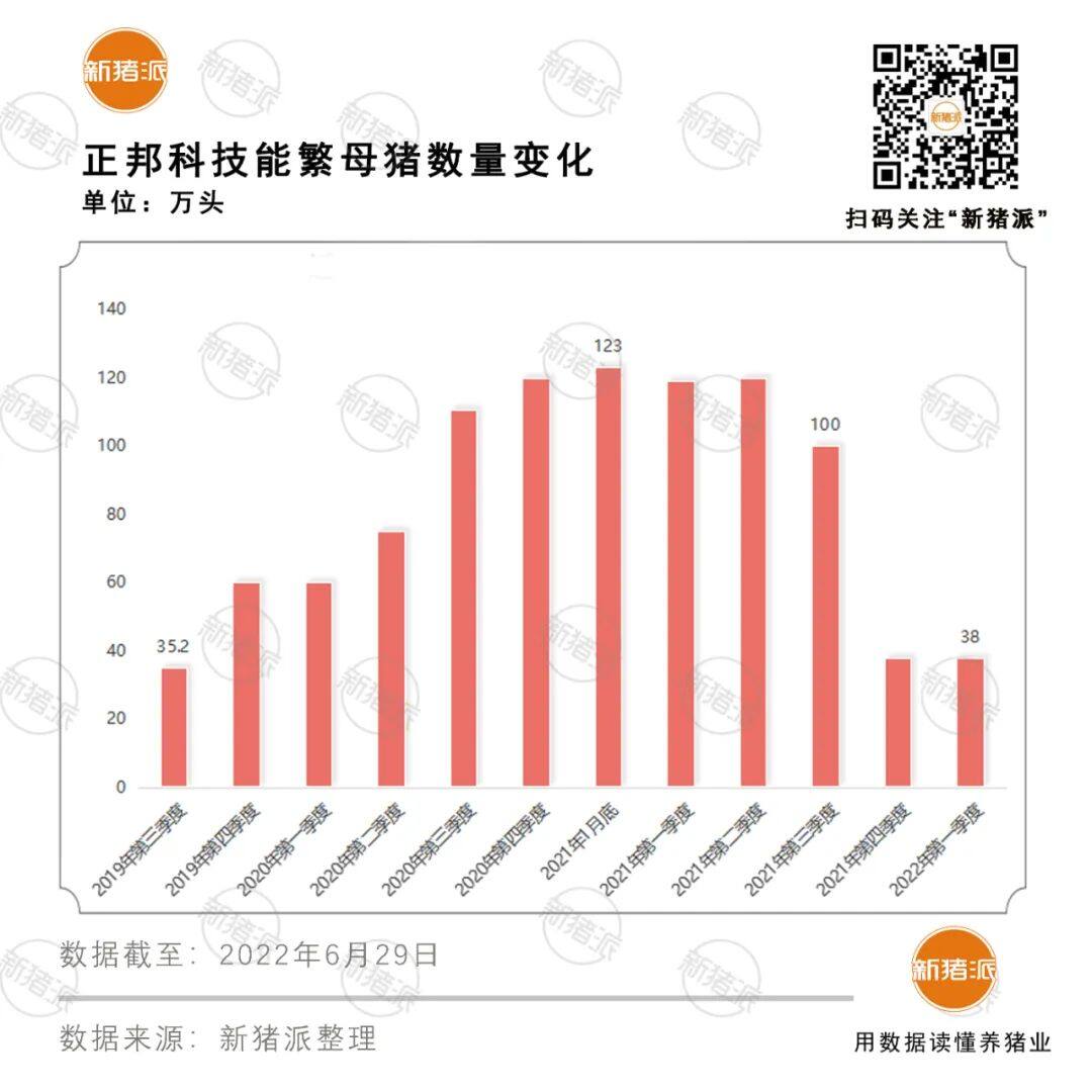 新格局！TOP20豬企手握832萬頭母豬占1/5,京基智農(nóng)、力源近10萬…