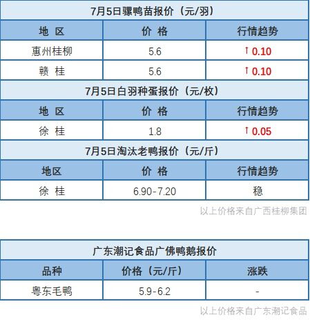 7月4日 兩湖水禽價格下調，浙江、福建水禽價格穩定，桂柳白羽肉鴨價格上漲【水禽價格指數】