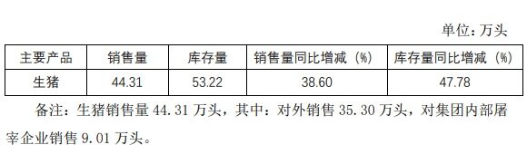 神农集团：上半年销售生猪44.1万头