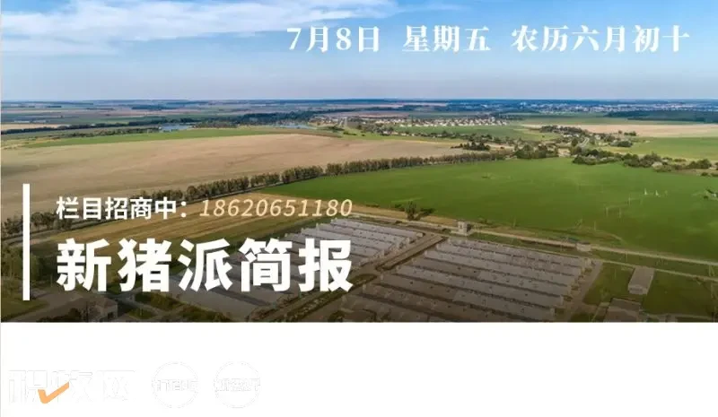 7.8新猪派简报|温氏6月销售肉猪123.20万头；7月7日局地猪价暴跌超1元