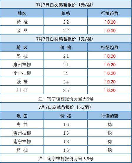 7月7日浙江區域水禽價格穩定【水禽價格】