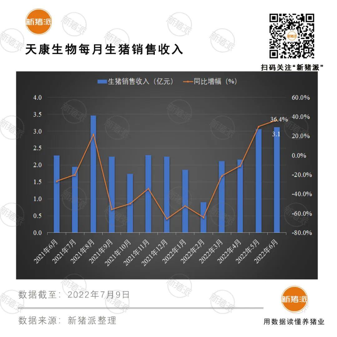 增长超40%！十大巨头上半年出栏5985万头，但商品猪销售竟无一家盈利？