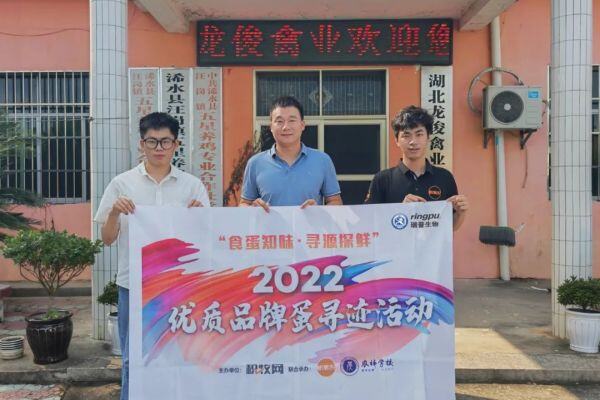 五星禽业：从视觉传达设计到年产120万只鸡苗，他用了不到3年，还挖掘出育雏黄金经验|品牌蛋