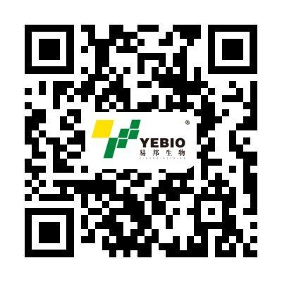 重磅丨易邦论文集系列再添新作,《鸡传染性支气管炎防控技术论文集(精选)》免费下载!