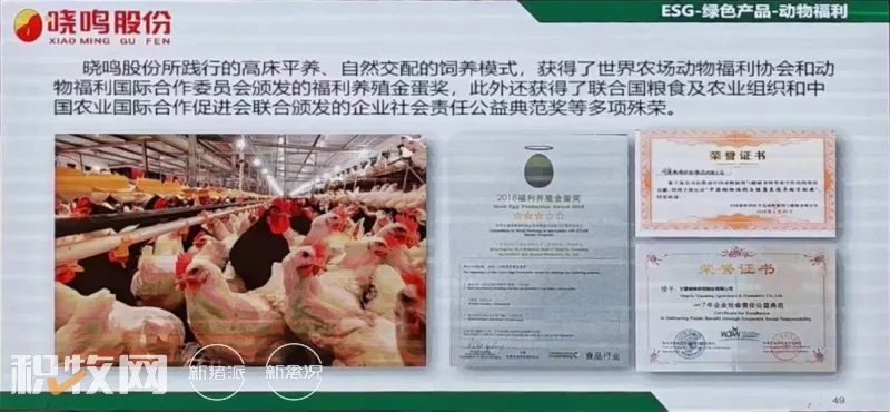 晓鸣股份：戈壁滩头建鸡场，生物安全放第一，持续推进蛋鸡绿色低碳生产！