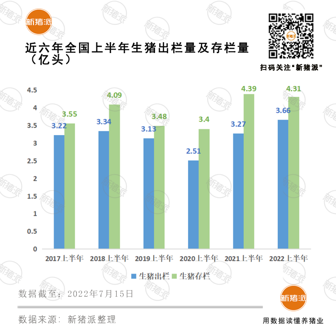 新猪派简报|创六年新高！上半年全国出栏生猪3.66亿头，能繁母猪存栏增至4277万头