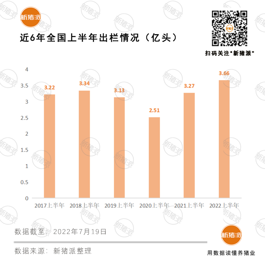 占全国58%！13省市上半年出栏生猪2.1亿头，河南3222万头排第一！