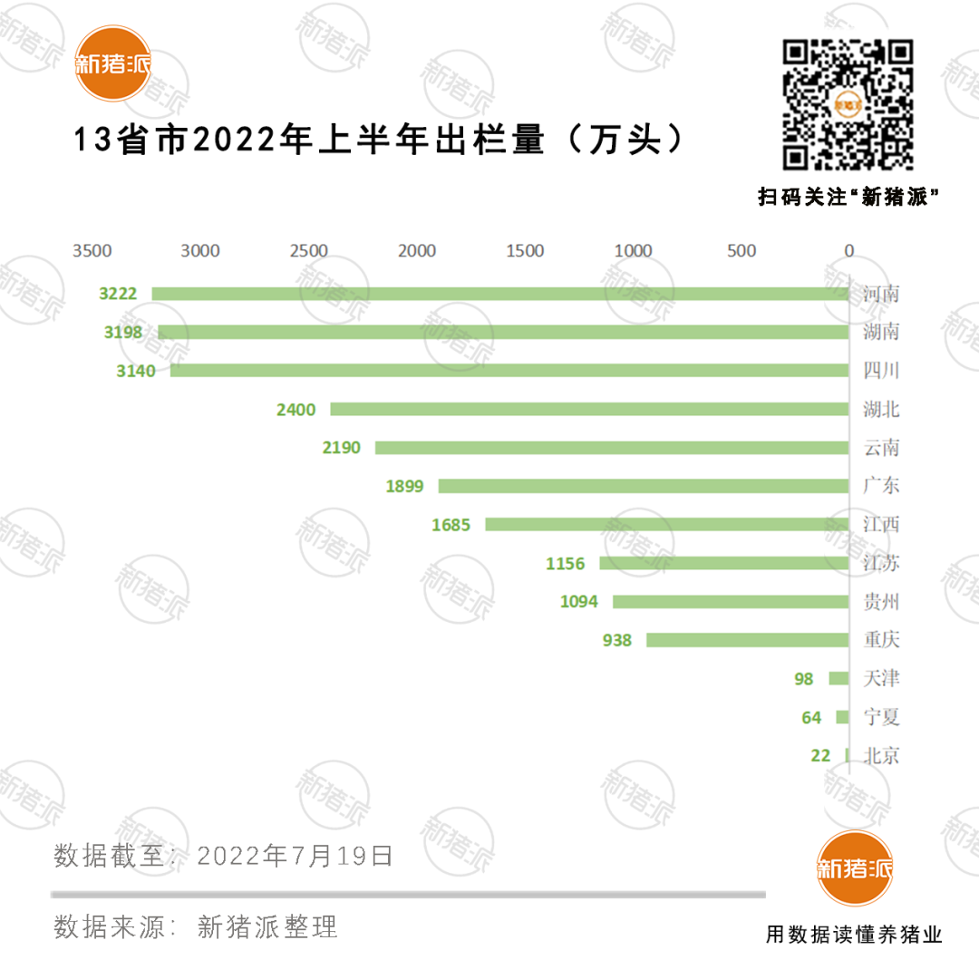 占全国58%！13省市上半年出栏生猪2.1亿头，河南3222万头排第一！