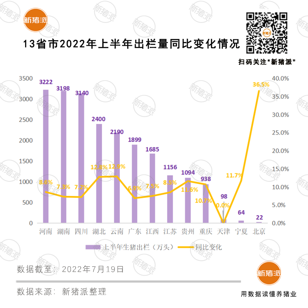 占全国58%！13省市上半年出栏生猪2.1亿头，河南3222万头排第一！