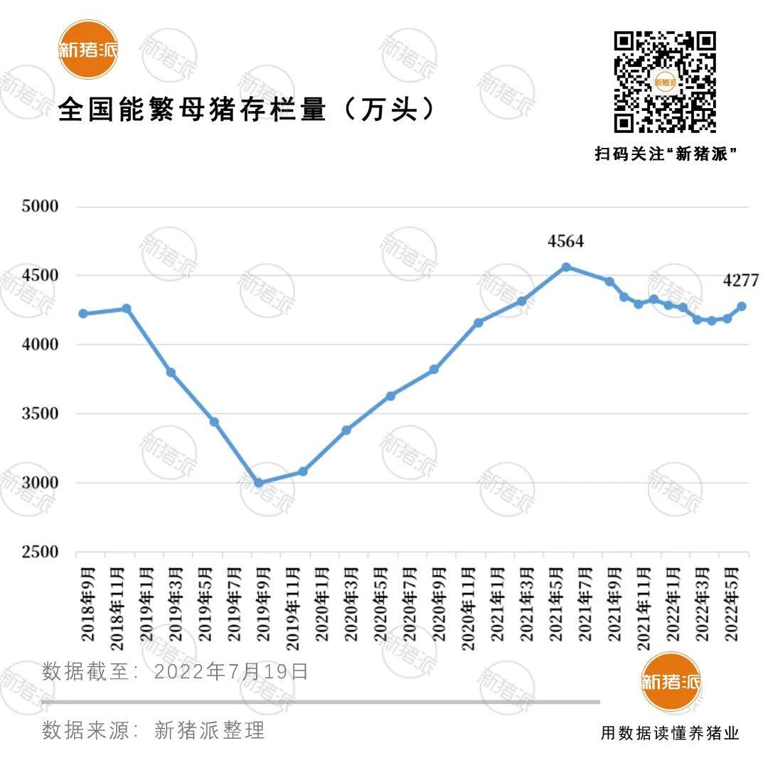 占全国58%！13省市上半年出栏生猪2.1亿头，河南3222万头排第一！