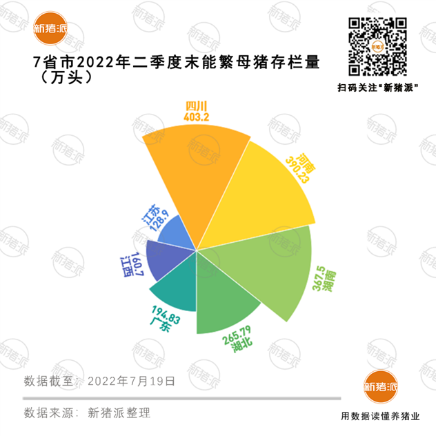占全国58%!13省市上半年出栏生猪2.1亿头,河南3222万头排第一!