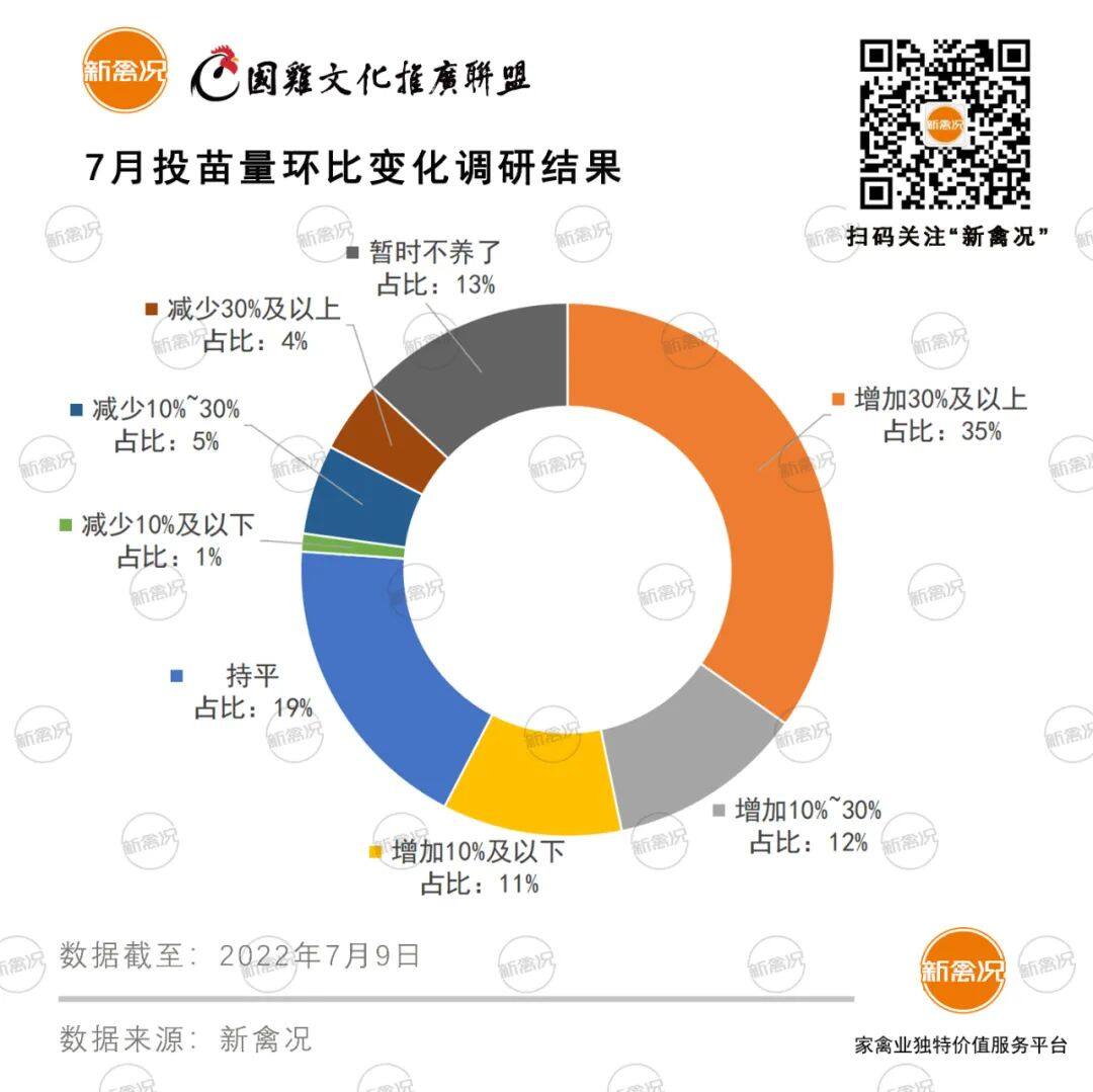 最高涨8毛！快大麻黄、青麻类公苗价破4元/只，6成养户增加投苗量【苗价分析】