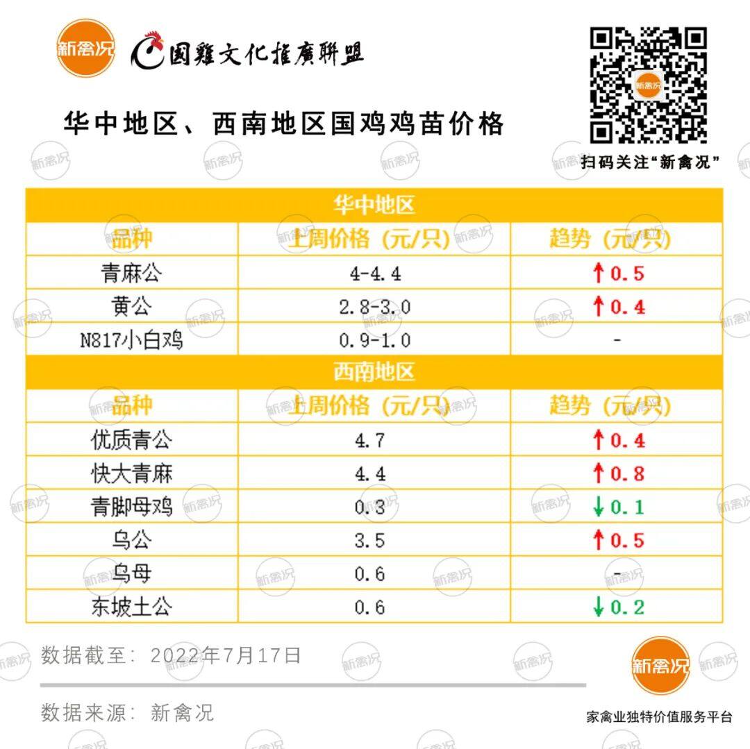 最高涨8毛！快大麻黄、青麻类公苗价破4元/只，6成养户增加投苗量【苗价分析】