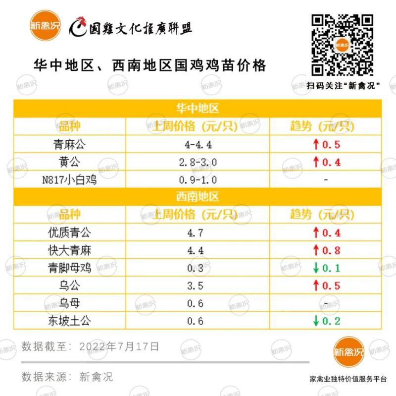 最高涨8毛！快大麻黄、青麻类公苗价破4元/只，6成养户增加投苗量【苗价分析】