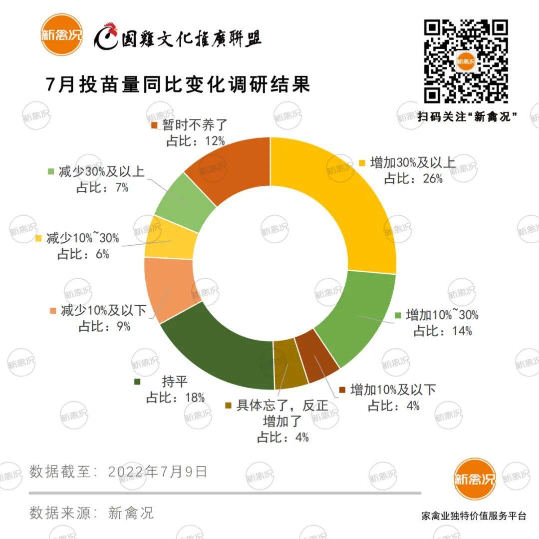 最高涨8毛！快大麻黄、青麻类公苗价破4元/只，6成养户增加投苗量【苗价分析】