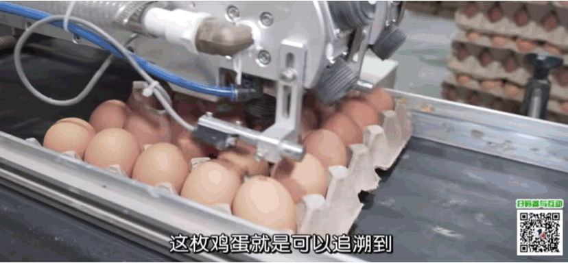 咯咯哒，品质成就品牌，全产业链更安心！