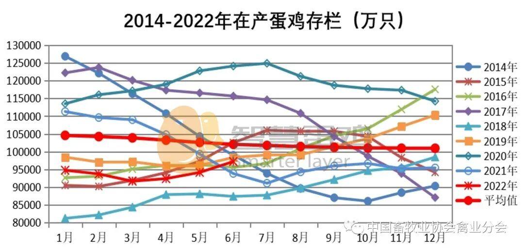 2022上半年我国蛋鸡市场分析及后市预测