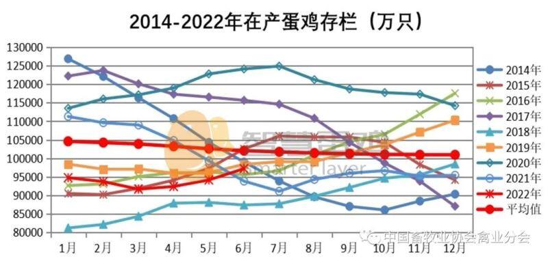2022上半年我国蛋鸡市场分析及后市预测