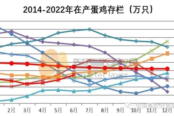 2022上半年我国蛋鸡市场分析及后市预测