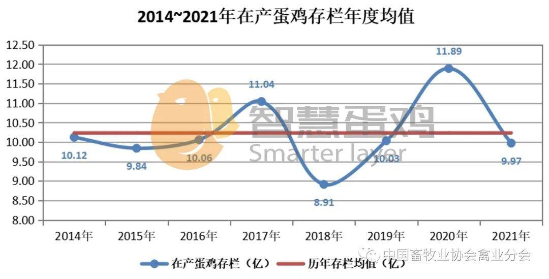 2022上半年我国蛋鸡市场分析及后市预测