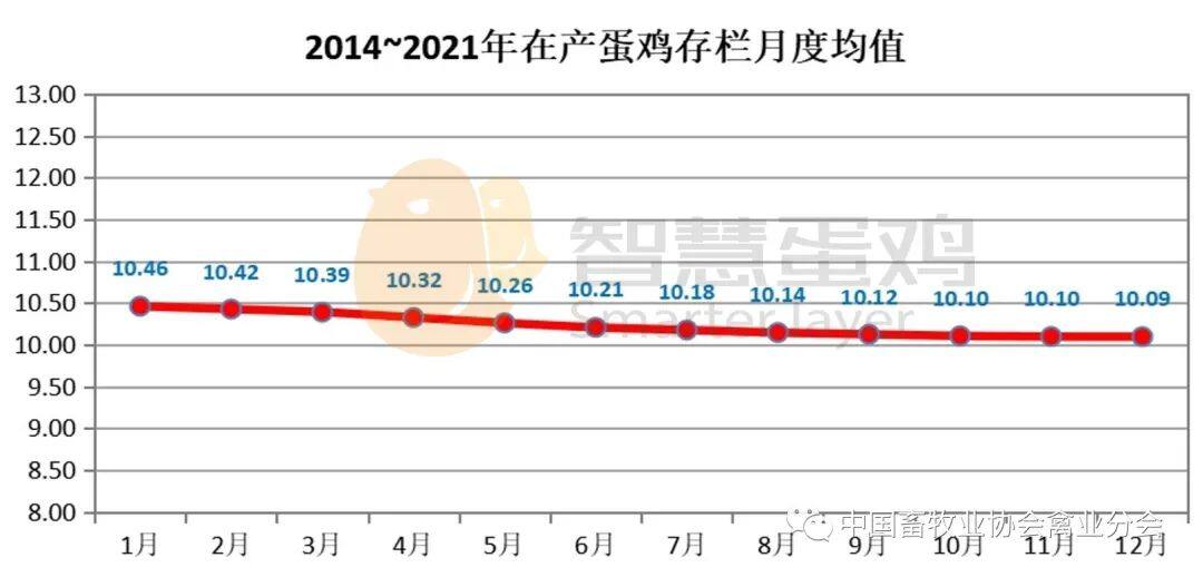 2022上半年我国蛋鸡市场分析及后市预测