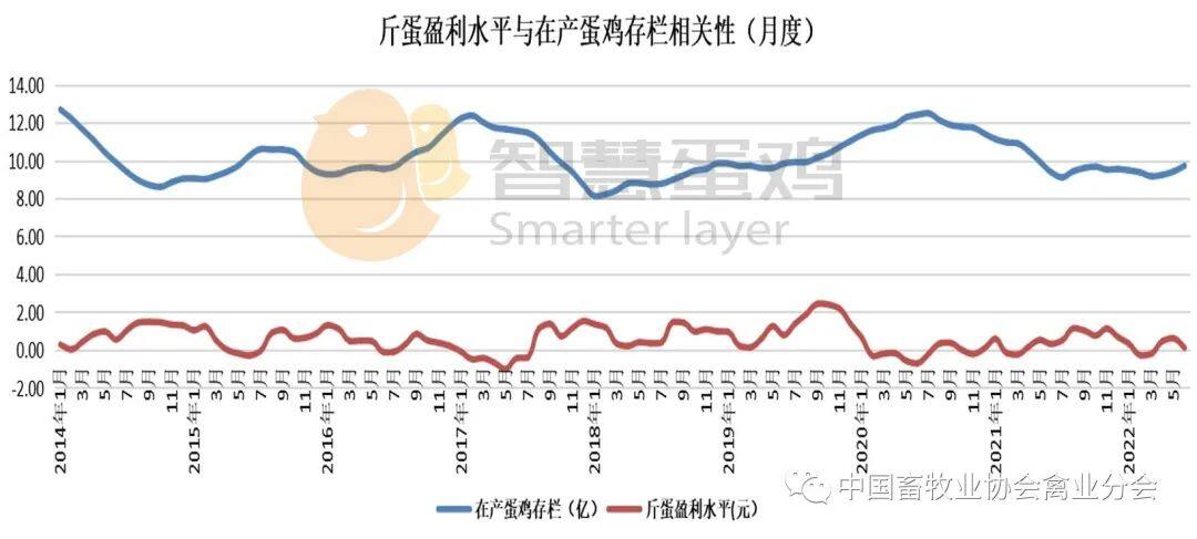 2022上半年我国蛋鸡市场分析及后市预测