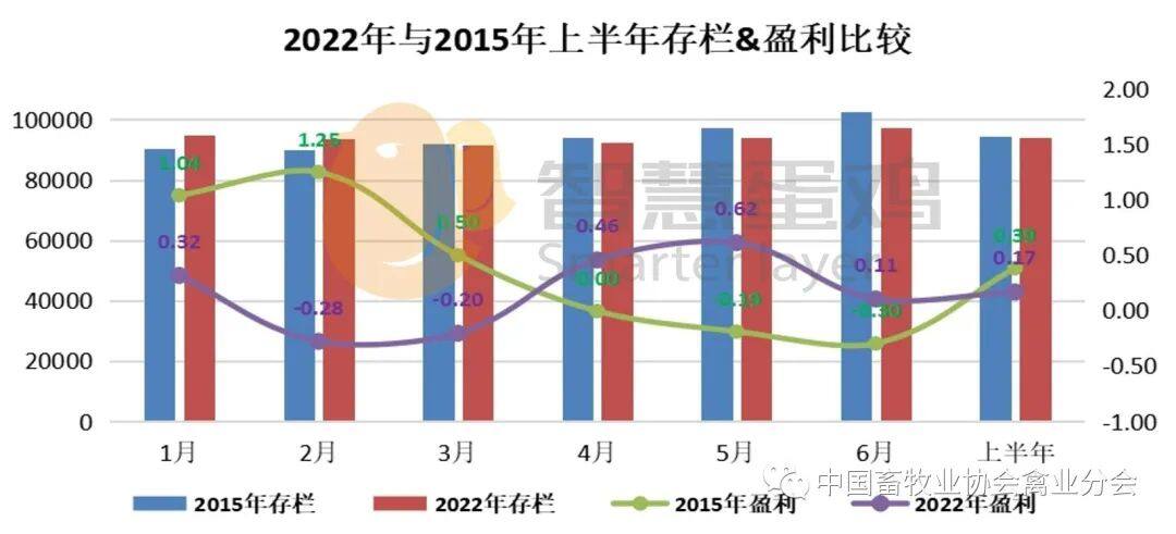 2022上半年我国蛋鸡市场分析及后市预测