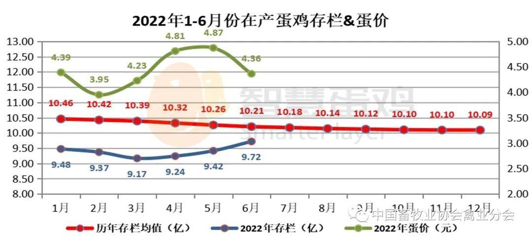 2022上半年我国蛋鸡市场分析及后市预测