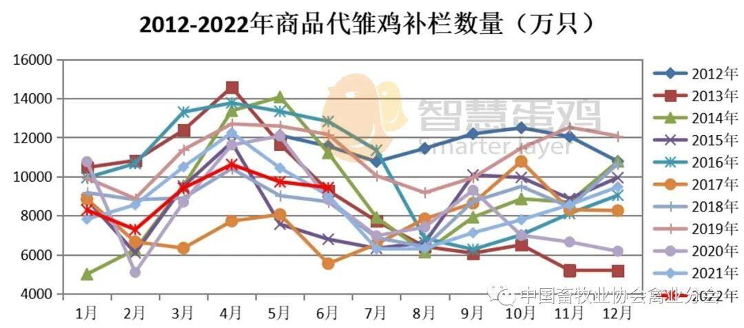 2022上半年我国蛋鸡市场分析及后市预测