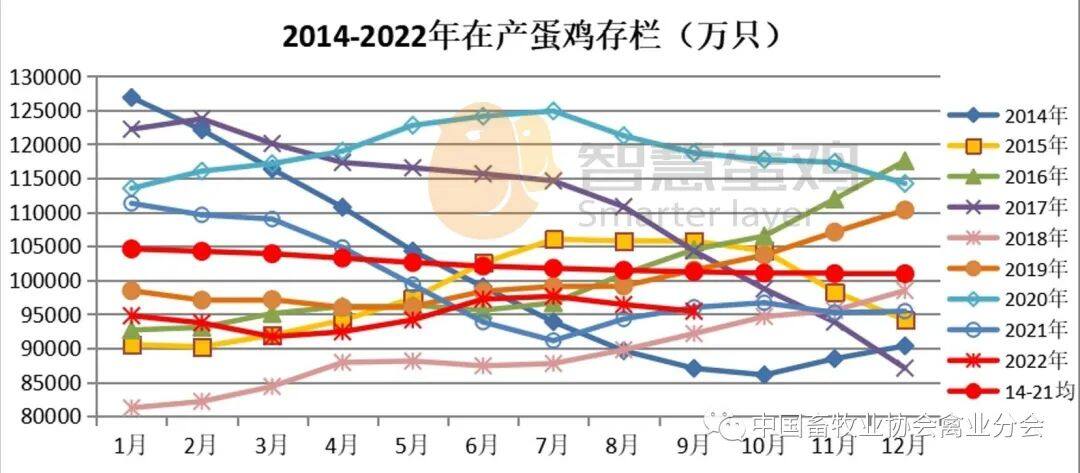 2022上半年我国蛋鸡市场分析及后市预测